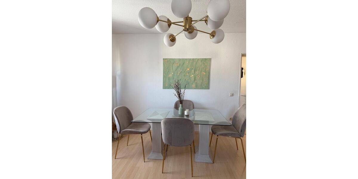 Eine wunderschöne Wohnung in Bonn möbliert Untermieter 2 zimmer