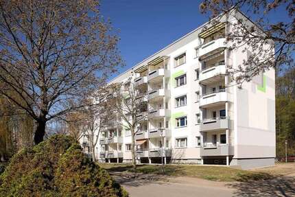 Wohnung Burg Stargard - 2 Zimmer, 49 m&sup2;, 340&euro; | Angebot:27222091