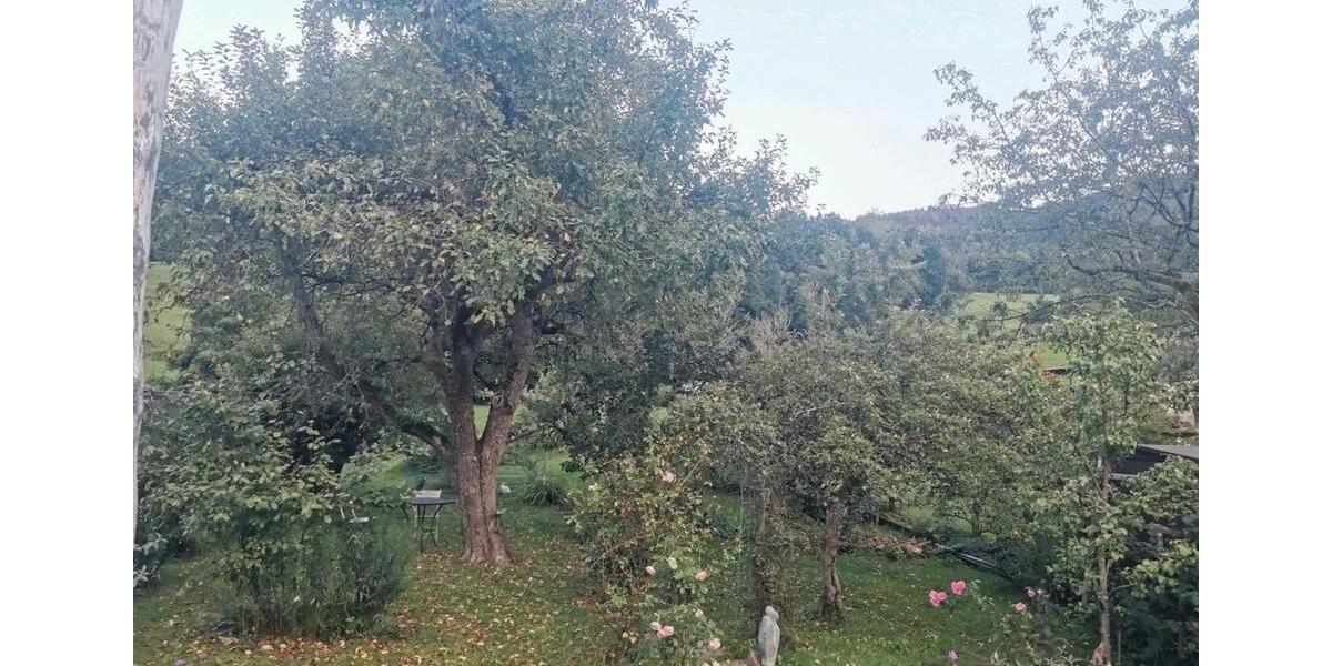 Wohnen auf Zeit Freiburg im Breisgau Haslach - 1 Zimmer, 140 m&sup2;, 550&euro; | Angebot:26218661