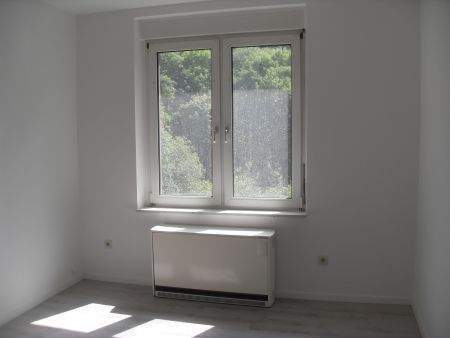 Etagenwohnung Lüdenscheid Brügge - 2 Zimmer, 55 m&sup2;, 390&euro; | Angebot:26487380