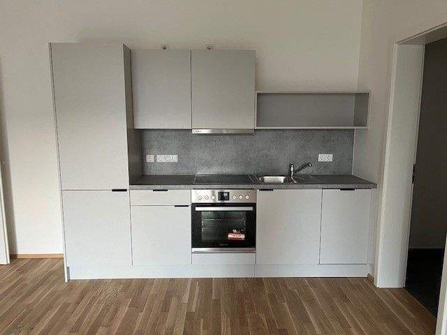 Terrassenwohnung Nürnberg Gostenhof - 2 Zimmer, 66 m&sup2;, 1.050&euro; | Angebot:26117055