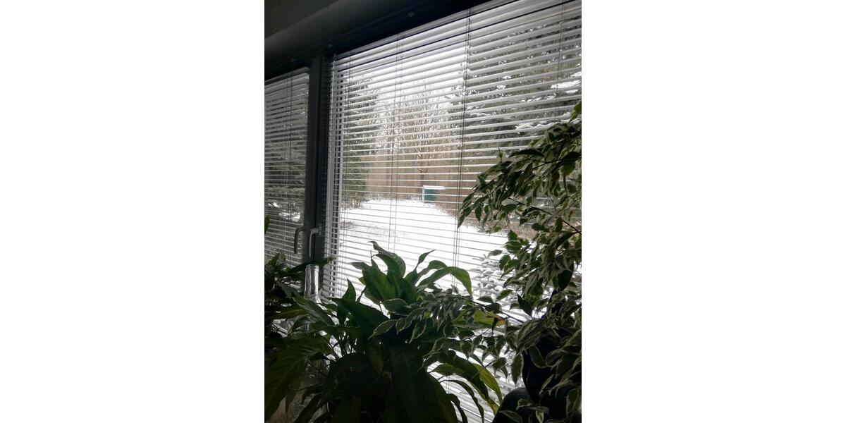 Erdgeschoßwohnung Wolfenbüttel - 1 Zimmer, 35 m&sup2;, 430&euro; | Angebot:24835458