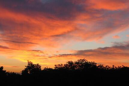 Appartement mit Waldblick in Wegberg. 1 zimmer