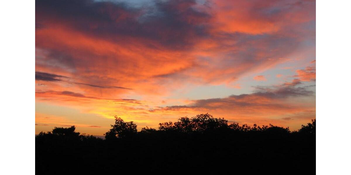 Appartement mit Waldblick in Wegberg. 1 zimmer