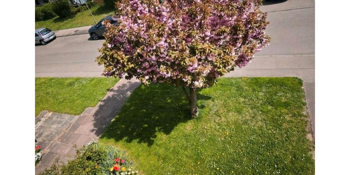 Etagenwohnung Kornwestheim - 3 Zimmer, 58 m&sup2;, 1.400&euro; | Angebot:26693309