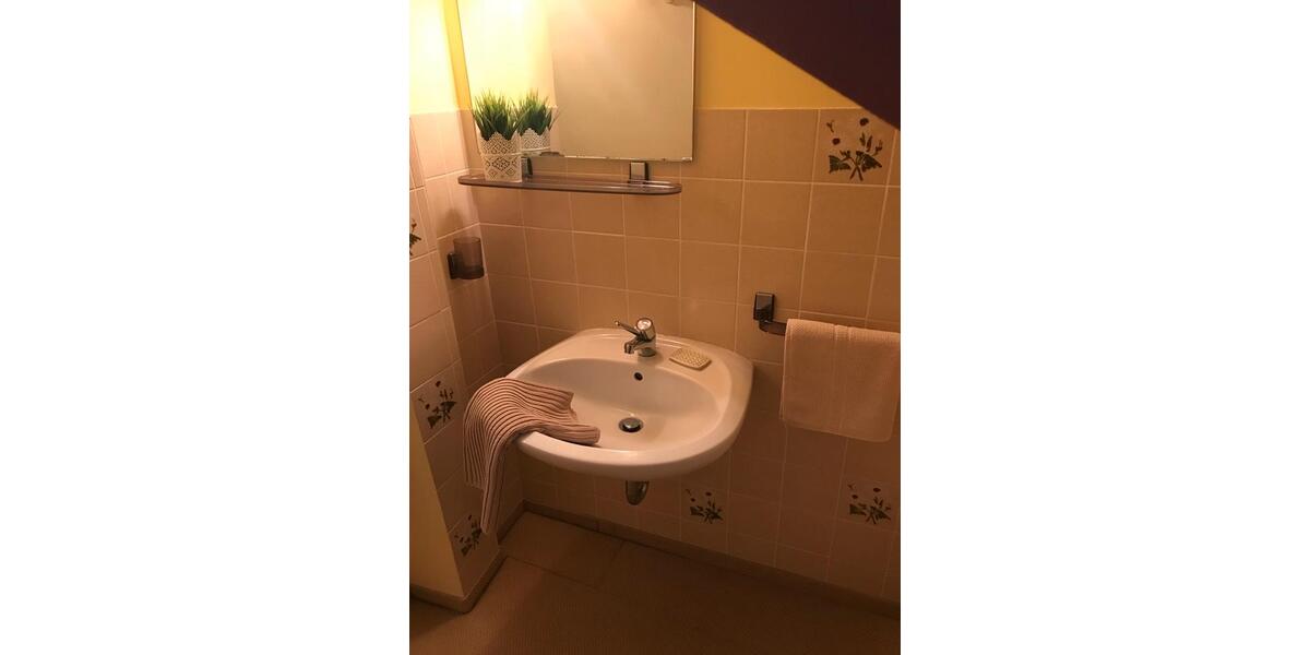 Wohnen auf Zeit Ergoldsbach Langenhettenbach - 1 Zimmer, 15 m&sup2;, 500&euro; | Angebot:26432541