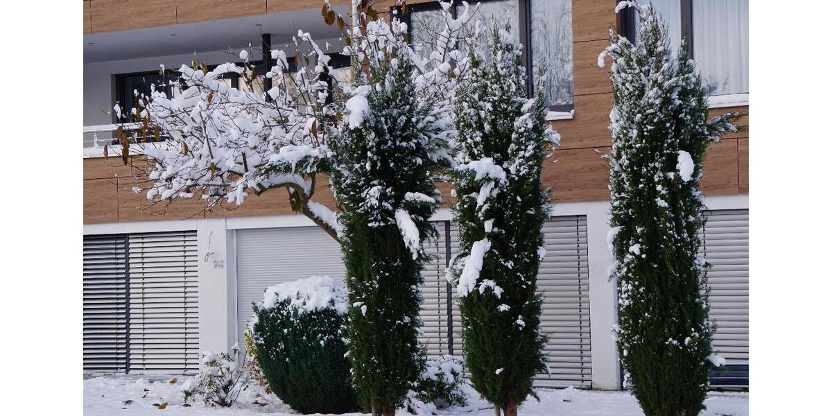 Etagenwohnung Bodman-Ludwigshafen Ludwigshafen - 3 Zimmer, 65 m&sup2;, 1.200&euro; | Angebot:25413143