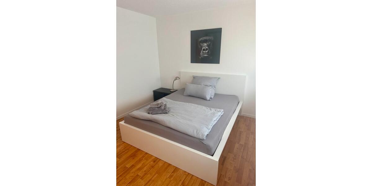 Wohnen auf Zeit Lahnstein - 2 Zimmer, 65 m&sup2;, 1.600&euro; | Angebot:24532880