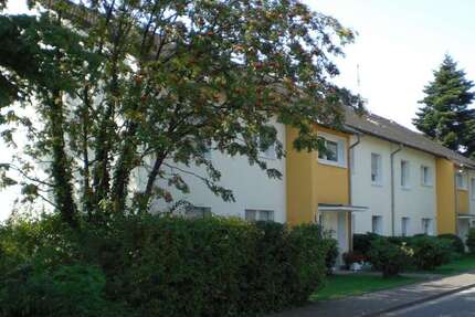 Wohnung Ostercappeln - 2 Zimmer, 56 m&sup2;, 334&euro; | Angebot:27199800