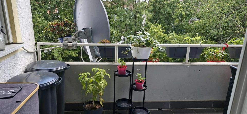 Etagenwohnung Ingolstadt Friedrichshofen-Hollerstauden - 3 Zimmer, 77 m&sup2;, 1.500&euro; | Angebot:25614792