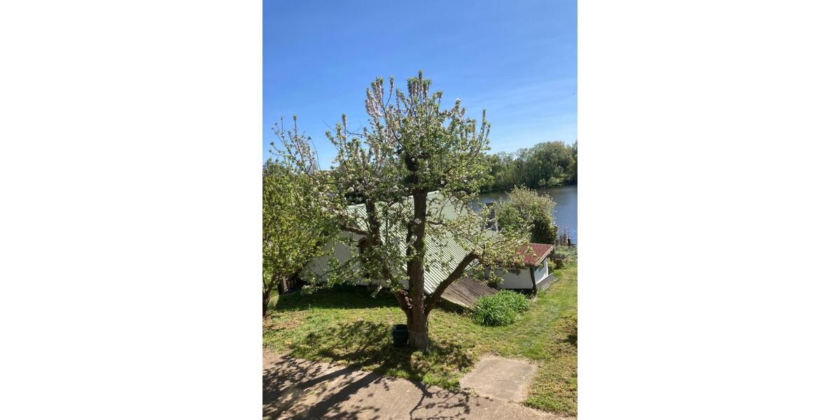 Einfamilienhaus Liebenwalde - 4 Zimmer, 140 m&sup2;, 1.400&euro; | Angebot:25292071