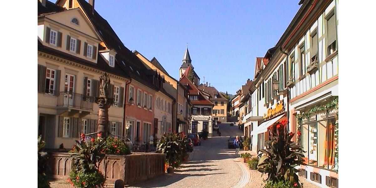 Wohnen auf Zeit Gernsbach - 1 Zimmer, 25 m&sup2;, 890&euro; | Angebot:26237673