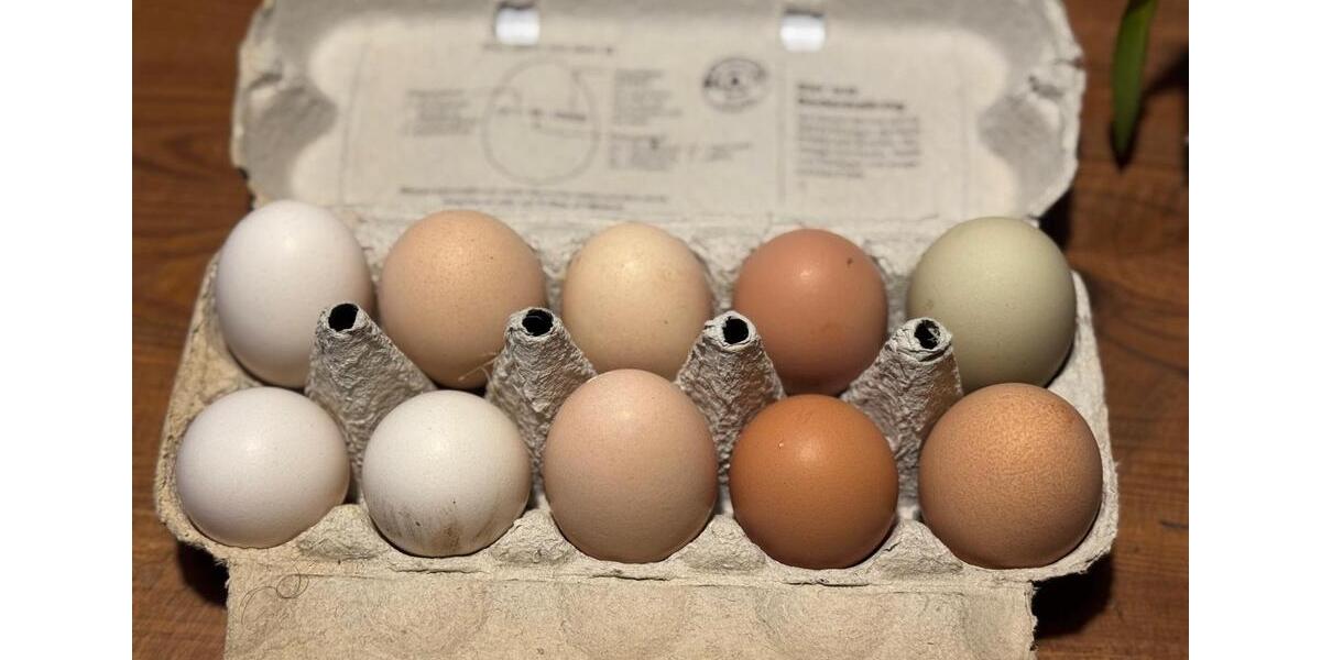 Wohnen auf Zeit Chorin - 3 Zimmer, 35 m&sup2;, 400&euro; | Angebot:25854954