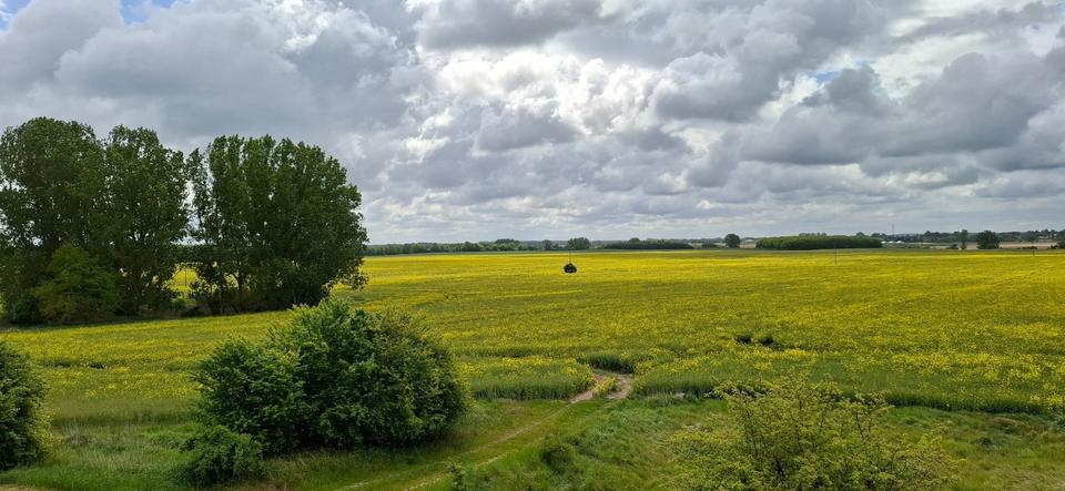 Etagenwohnung Blankensee - 2 Zimmer, 46 m&sup2;, 350&euro; | Angebot:23243908