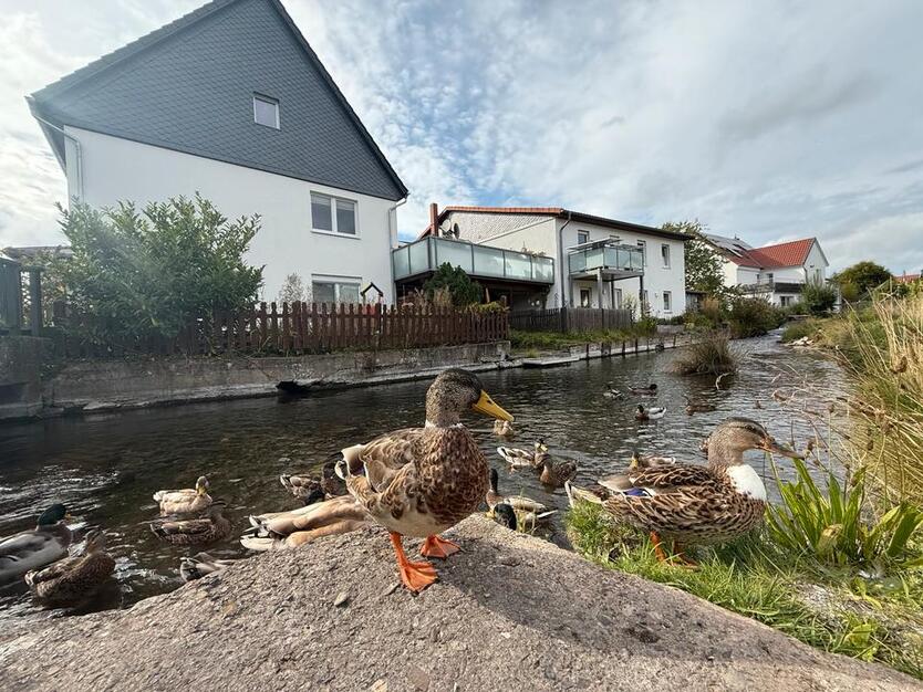 Traumhaft schöne Wohnung am Wasser mit Garten