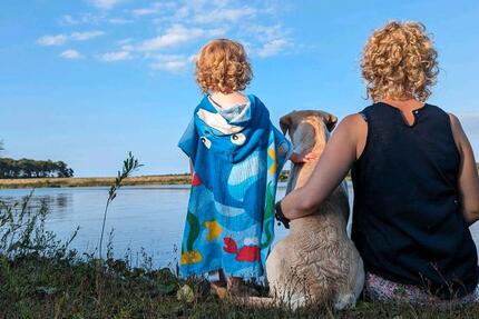 WG-Zimmer in einem Haus in Borkwalde - Suchbegriff: Wohnung 1 zimmer
