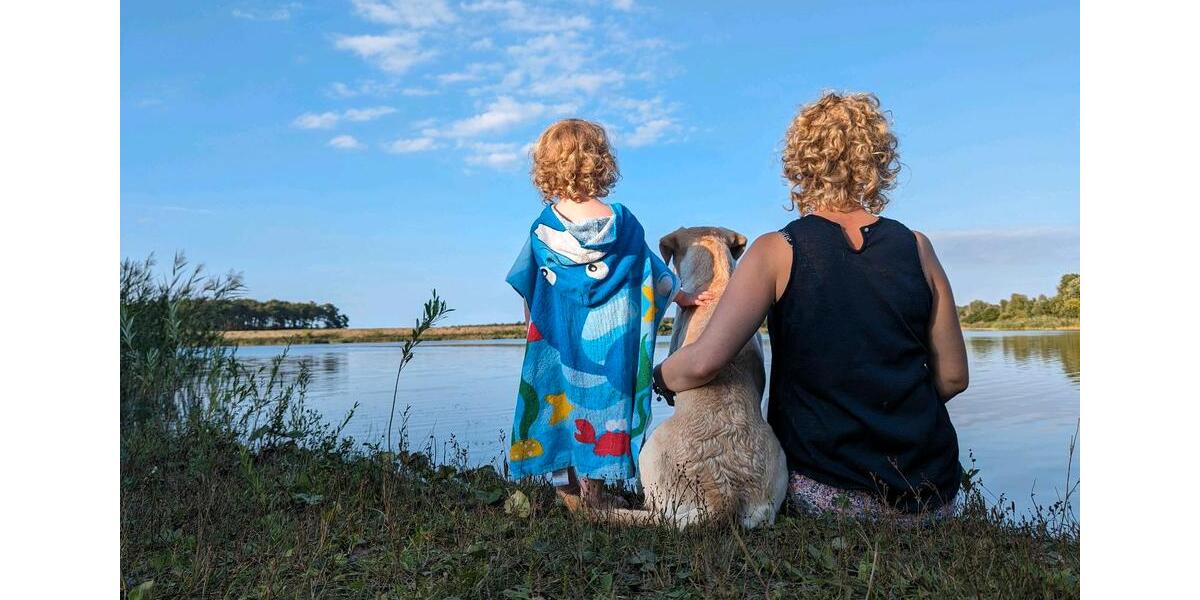 WG-Zimmer in einem Haus in Borkwalde - Suchbegriff: Wohnung 1 zimmer