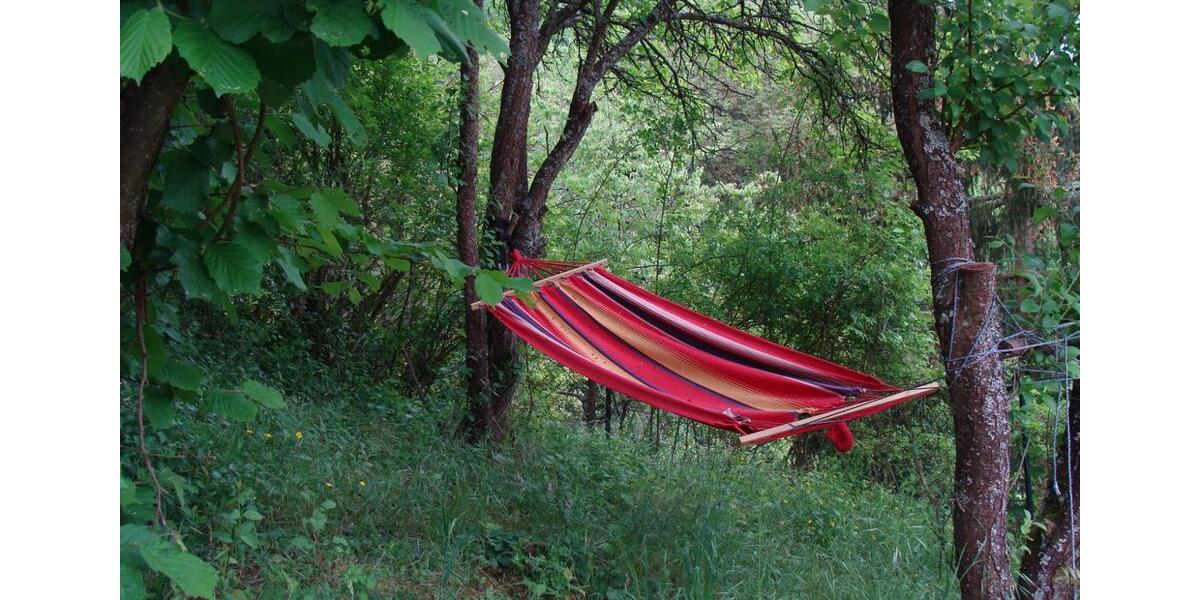 Wohnen auf Zeit Rehborn - 1 Zimmer, 50 m&sup2;, 200&euro; | Angebot:21459765