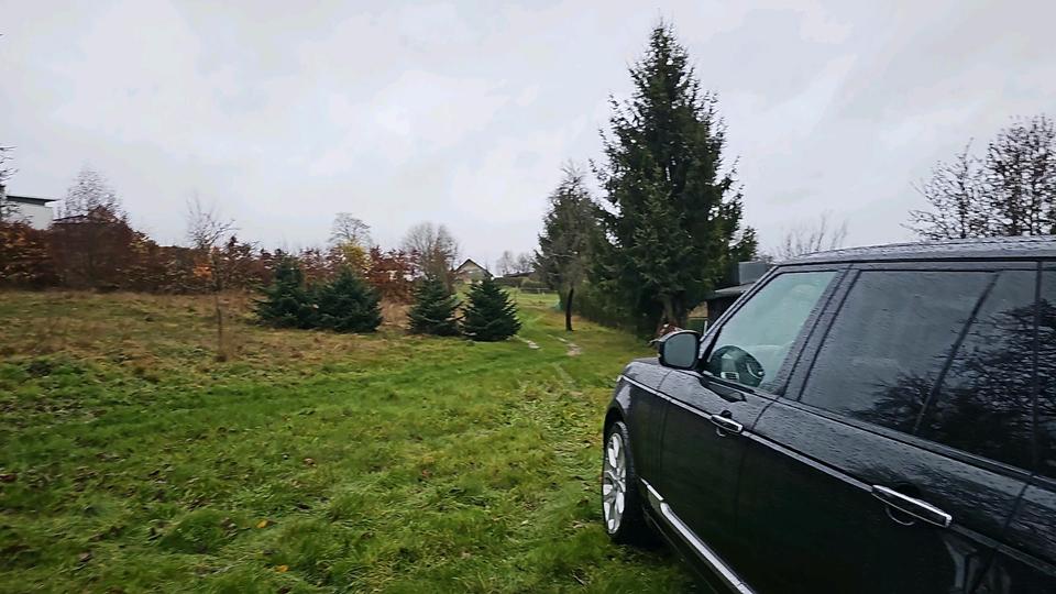 Hochparterre Niederwörresbach - 1 Zimmer, 580&euro; | Angebot:23395105