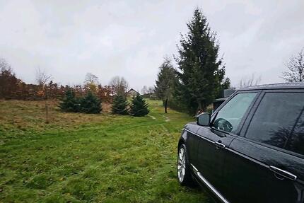 Wohnung Niederwörresbach - 1 Zimmer, 580&euro; | Angebot:23395105