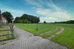 Gewerbeobjekt Badbergen - 125&euro; | Angebot:22011526