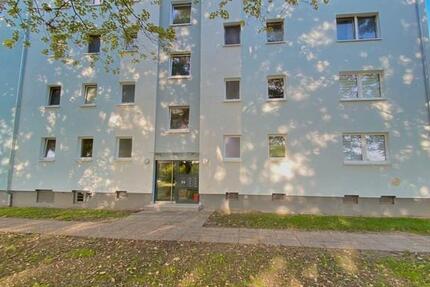 Geräummige 3 Zimmer Wohnung mit Balkon! zimmer