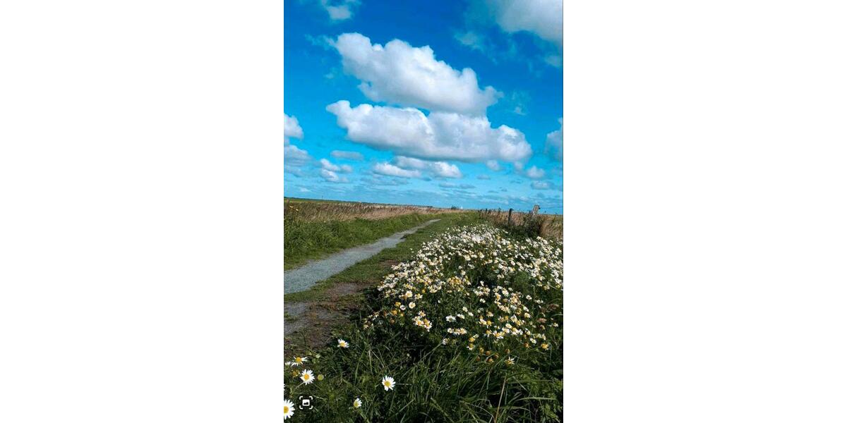 Wohnen auf Zeit Hage - 4 Zimmer, 100 m&sup2;, 1.250&euro; | Angebot:16677225