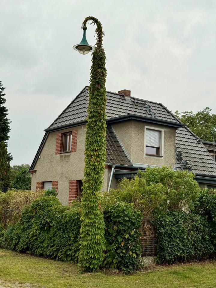 Gemütliches Einfamilienhaus mit Garten in ruhiger Lage in Cottbus-Gallinchen zu vermieten!