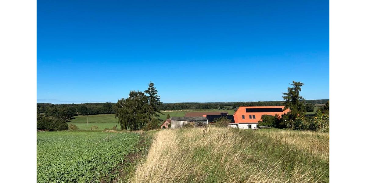 Wohnung, Mietwohnung, Haus, Mehrparteien-Haus, 4 Zimmer 4.5 zimmer