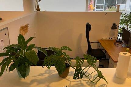 Coworking Freilassing - All-in-Miete