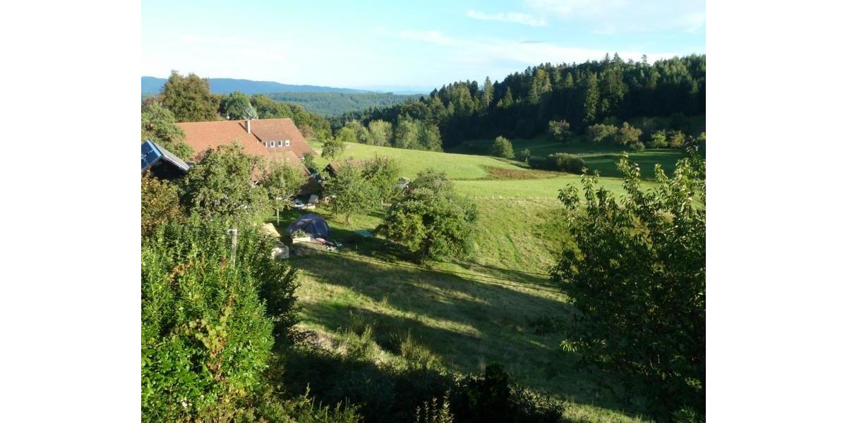 Wohnen auf Zeit Kleines Wiesental - 2 Zimmer, 51 m&sup2;, 500&euro; | Angebot:26691486