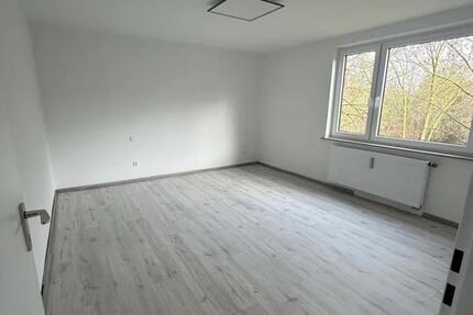 Sanierte 3 Zimmer Wohnung - Jobcenter ist möglich 3 zimmer