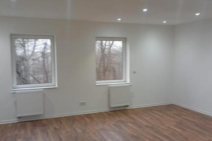 Wohnung Friedrichsthal - 1 Zimmer, 60 m&sup2;, 490&euro; | Angebot:25143433