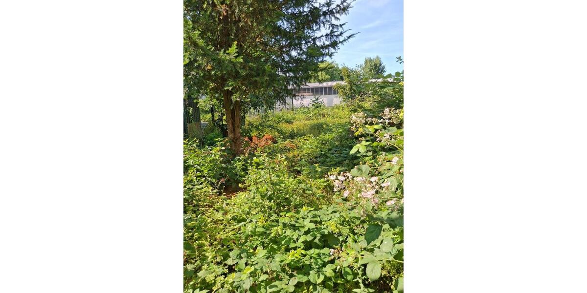 Kursstudio,Saal,Fitneskurse,Tai Chi, Joga,Kurse,Tanzschule, 260m² 8 zimmer