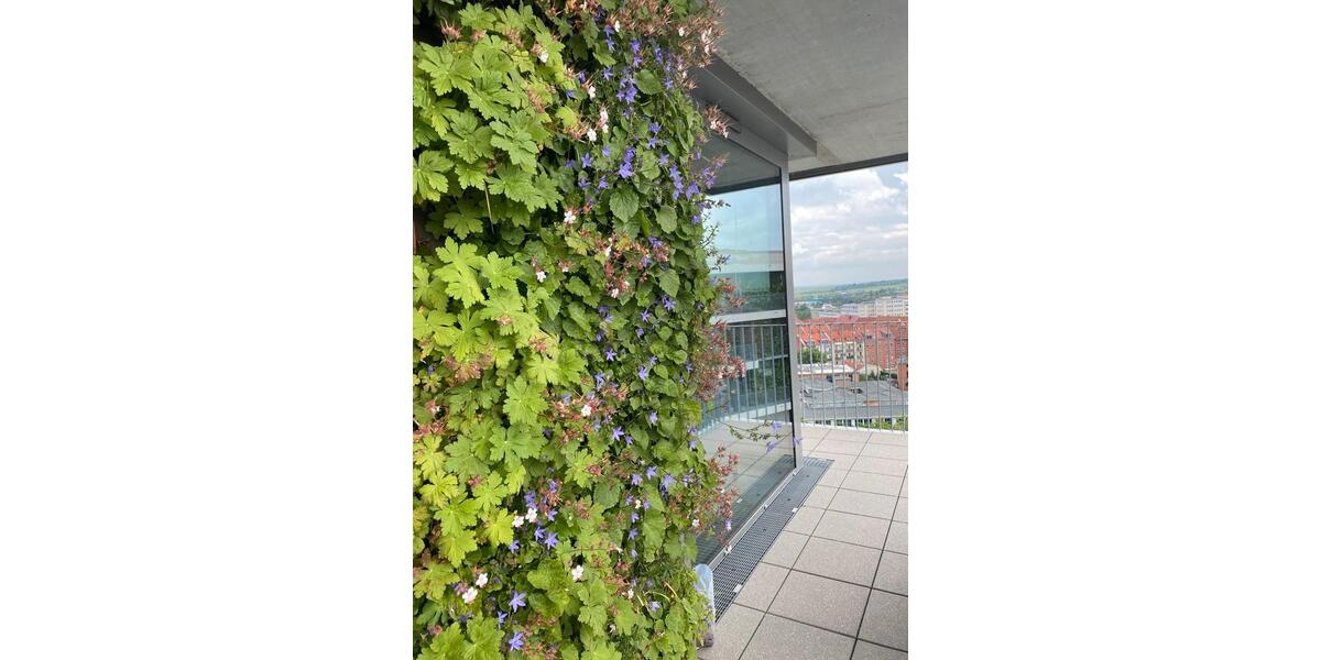 Etagenwohnung Erfurt - 4 Zimmer, 120 m&sup2;, 930&euro; | Angebot:25070057