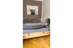 Etagenwohnung München Ludwigsvorstadt-Isarvorstadt - 2 Zimmer, 63 m&sup2;, 1.450&euro; | Angebot:24537996