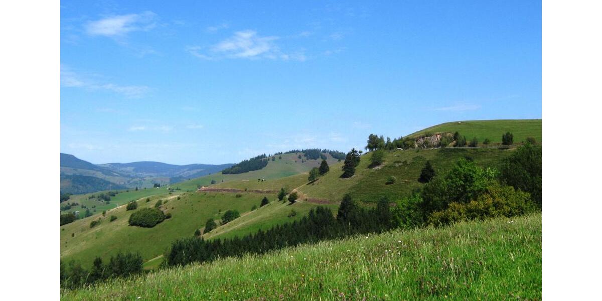 Etagenwohnung Häg-Ehrsberg Ehrsberg - 3 Zimmer, 72 m&sup2;, 720&euro; | Angebot:25855206