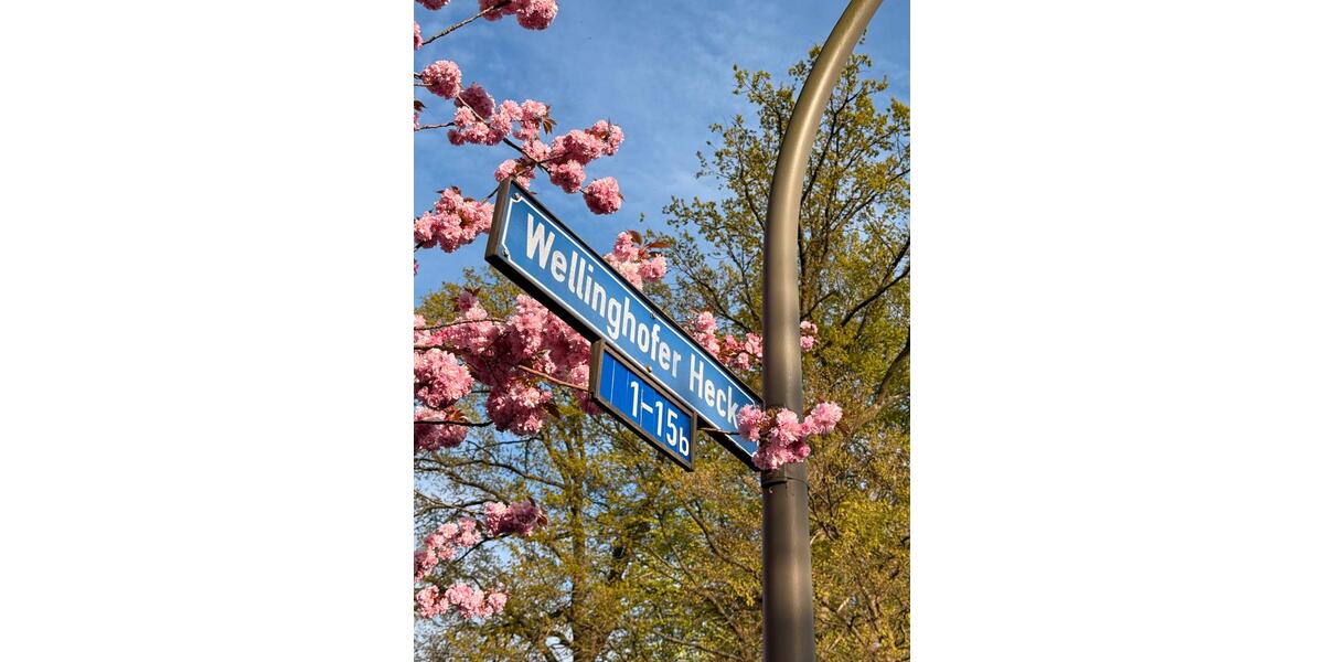 Etagenwohnung Dortmund Hörde - 3 Zimmer, 85 m&sup2;, 773&euro; | Angebot:26178008