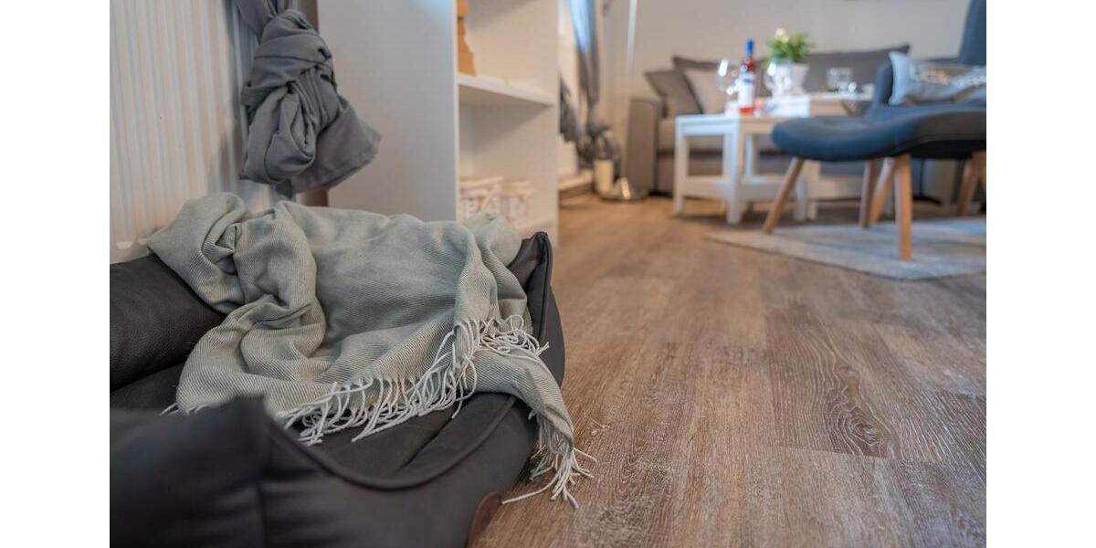 Erdgeschoßwohnung Zetel - 2 Zimmer, 54 m&sup2;, 650&euro; | Angebot:26702325