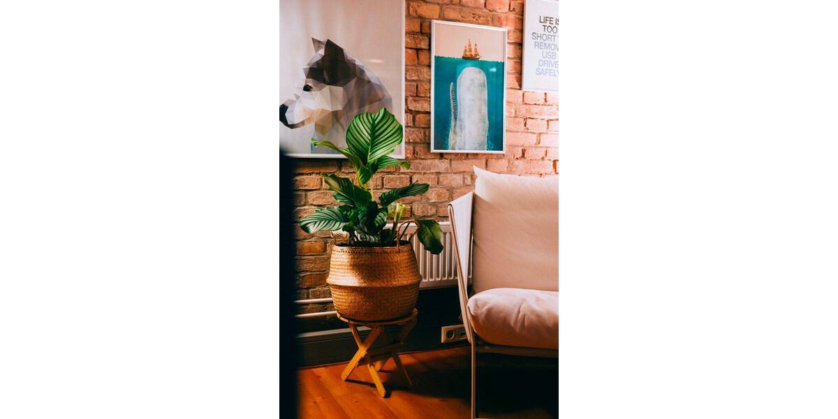 Gewerbeobjekt Rostock Stadtmitte - 160&euro; | Angebot:26253600