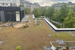 Etagenwohnung Bielefeld - 4 Zimmer, 25 m&sup2;, 407&euro; | Angebot:26563634