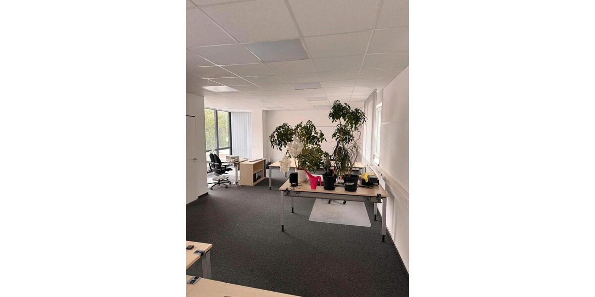 Gewerbeobjekt Stadthagen - 1.701&euro; | Angebot:24435811