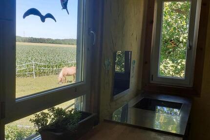 Wohnen auf Zeit Alpirsbach - 4 Zimmer, 150 m&sup2;, 350&euro; | Angebot:25358027