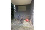 Wohnen auf Zeit Osnabrück Hellern - 1 Zimmer, 15 m&sup2;, 388&euro; | Angebot:26096172