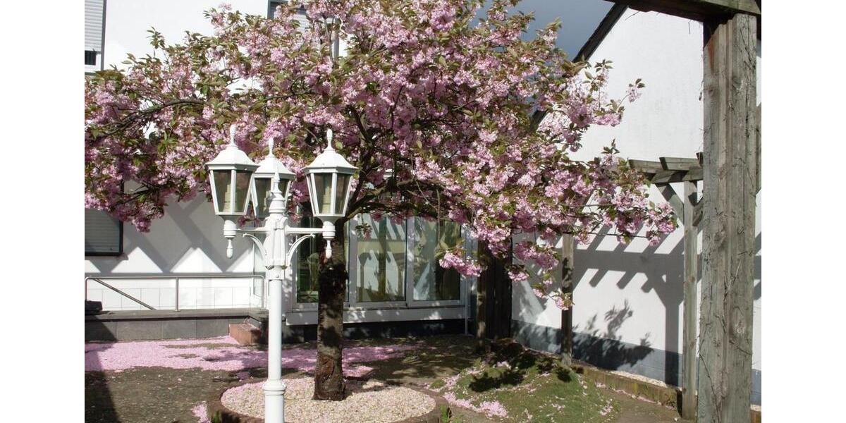 Dachgeschoßwohnung Andernach - 2 Zimmer, 48 m&sup2;, 490&euro; | Angebot:24997329