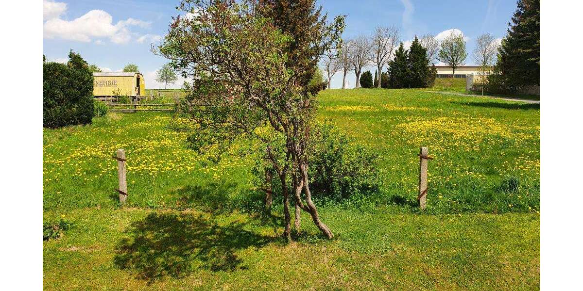 Etagenwohnung Frauenstein - 2 Zimmer, 38 m&sup2;, 220&euro; | Angebot:23735970