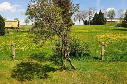 Wohnung Frauenstein - 2 Zimmer, 38 m&sup2;, 220&euro; | Angebot:23735970