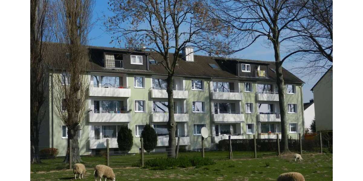 Wohnung zum Mieten in Werl 570 € 80 m² 3 zimmer