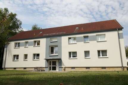 Wohnung Pirna - 2 Zimmer, 40 m&sup2;, 271&euro; | Angebot:26738007