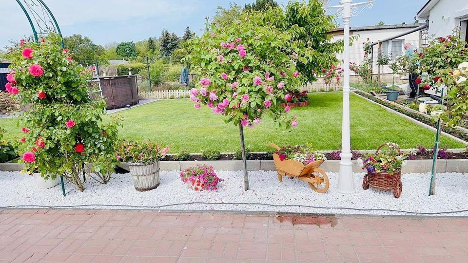 5 Zimmer Haus in Blankenburg mit wunderschönem Garten